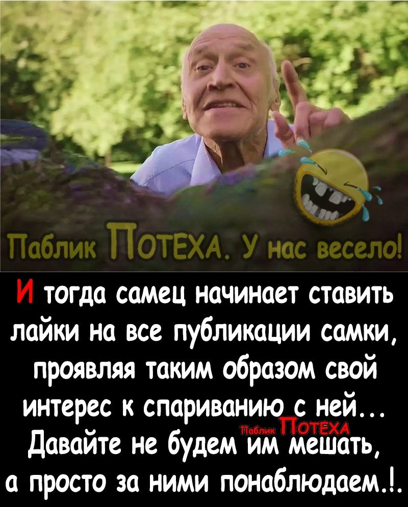 тогда самец начинает ставить лайки на все публикации самки проявляя таким образом свой интерес к спариванию с ней давайте не будем им мешать а просто за ними понаблюдоем