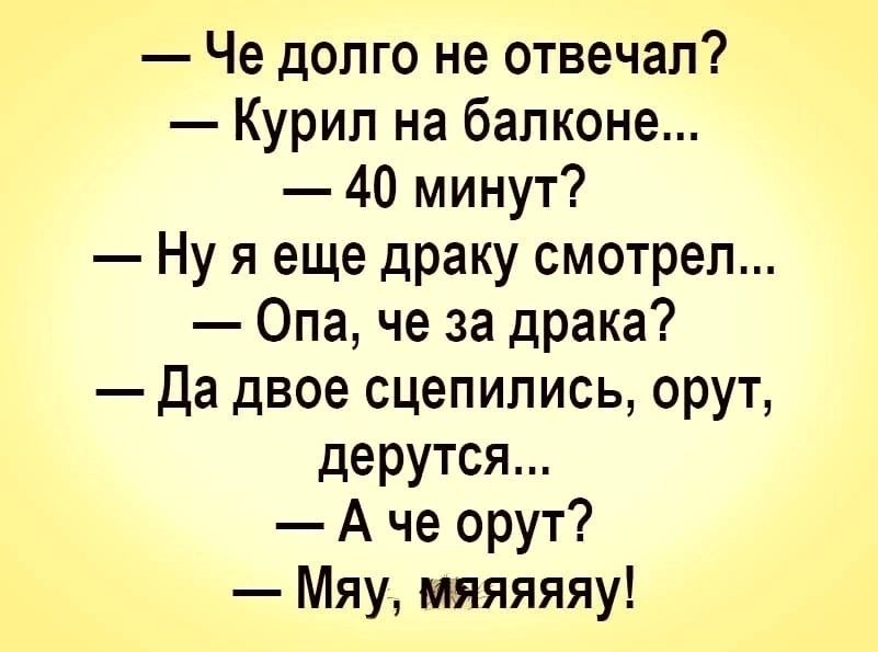 Че долго не отвечал Курип на балконе 40 минут Ну я еще драку смотрел Опа че за драка да двое сцепипись орут дерутся А че орут Мяу мяяяяяу