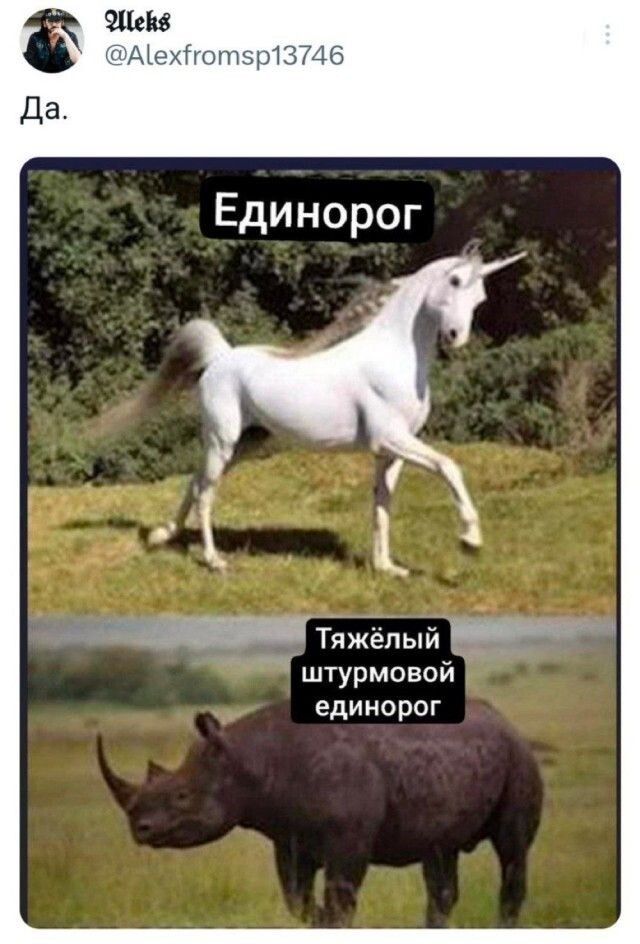 Тяжелый _ штурмовой единорог