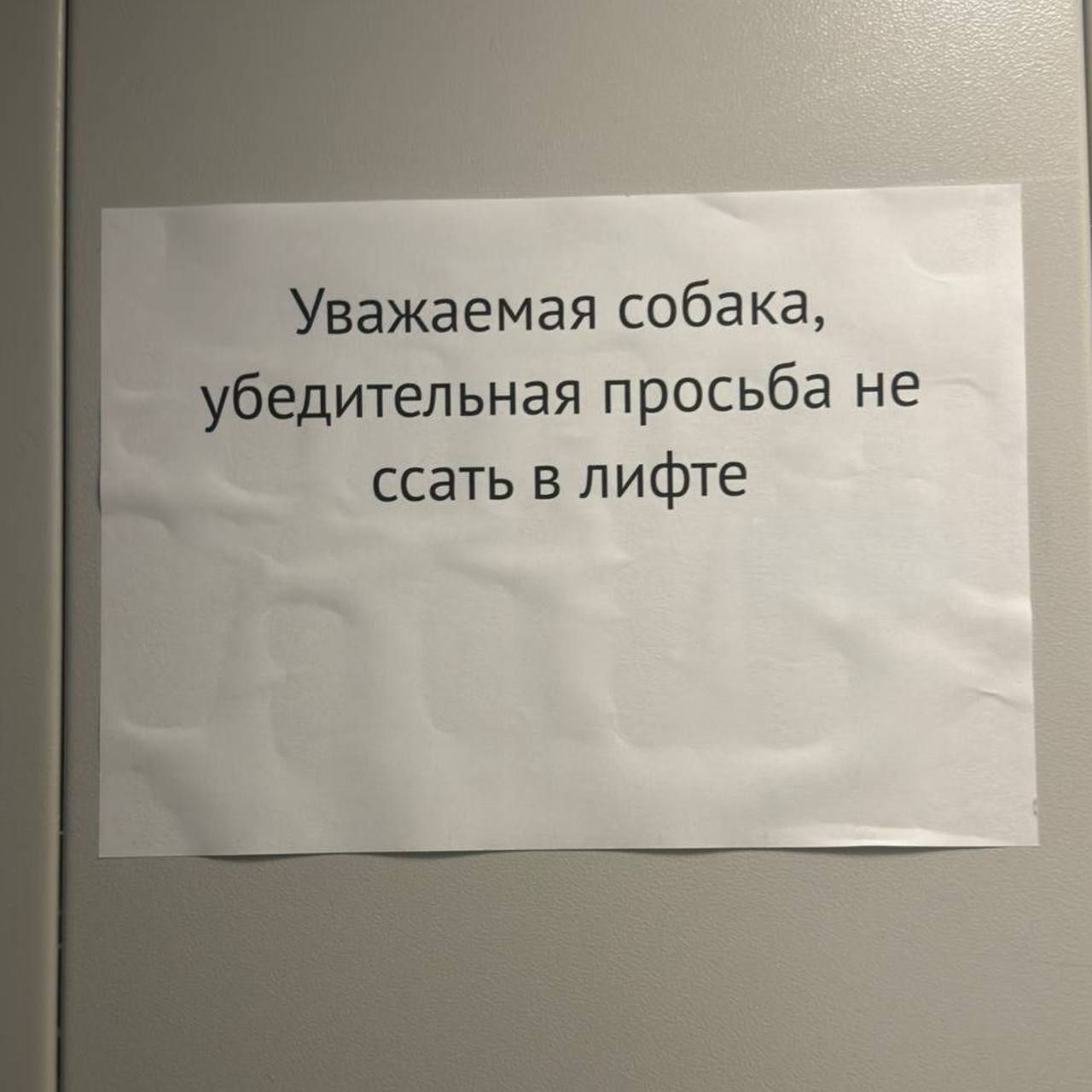 УВажаемая собака едительная просьба не ссать в лифте