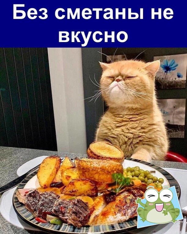 Без сметаны не вкусно