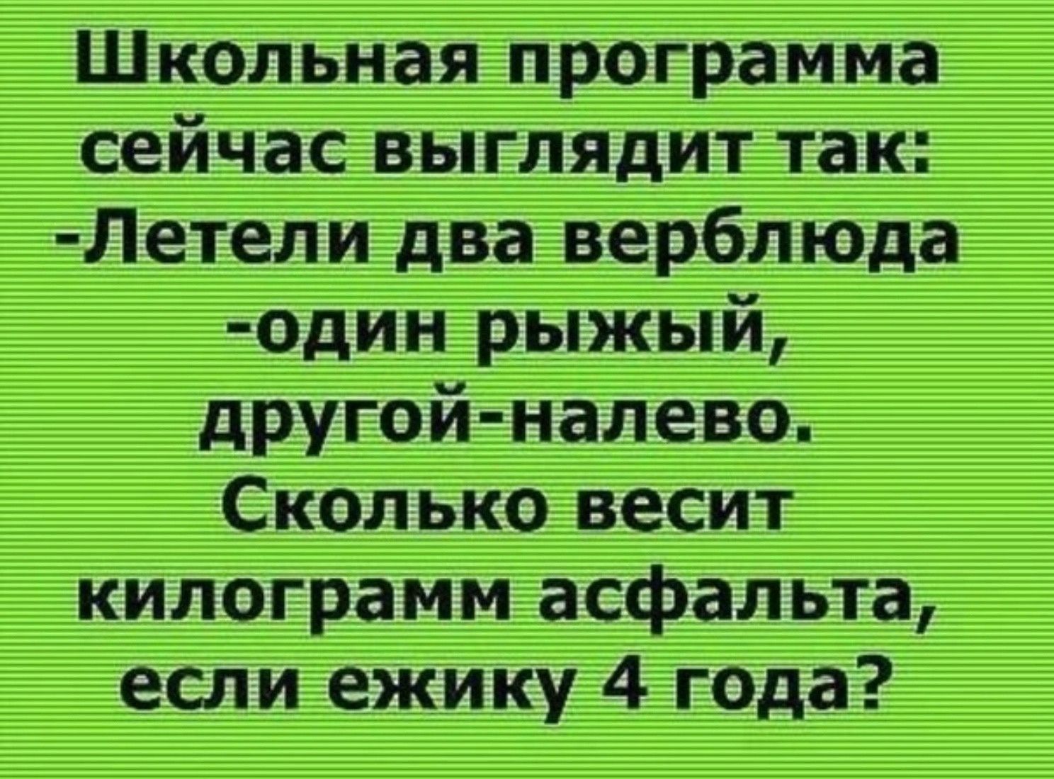 Школьная программа сейчас выглядит так Летели два верблюда один рыжый другой налево Сколько весит килограмм асфальта если ежику 4 года