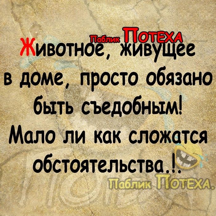 Животн6ге Тв даме просто обязано быть съедобным Мало ли как сложатся обстОятельства 15 ъ ыы