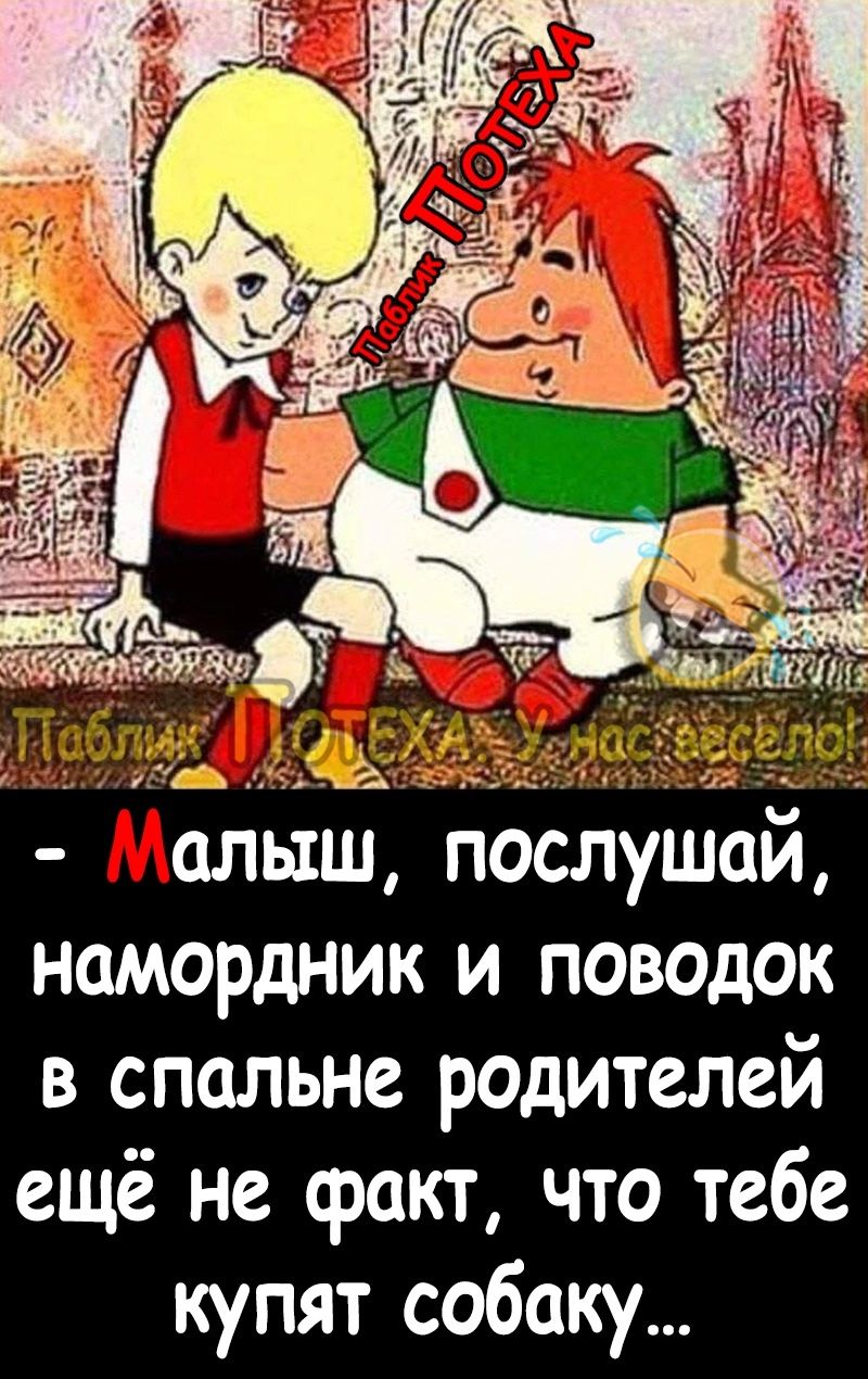 слыш послушай намордник и поводок в спальне родителей ещё не факт что тебе купят собаку