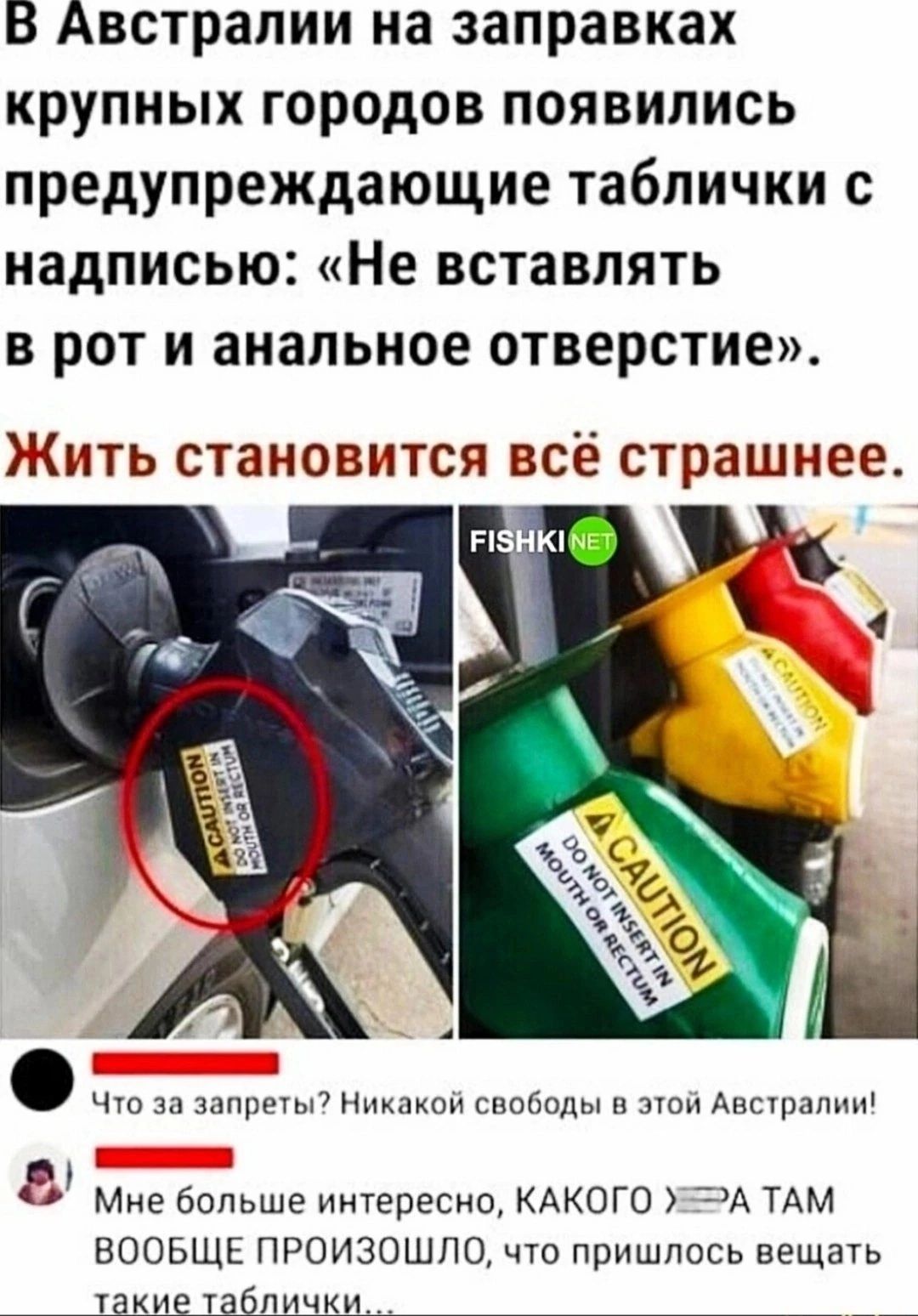 В Австралии на заправках крупных городов появились предупреждающие таблички с надписью Не вставлять в рот и анальное отверстие Жить становится всё страшнее ч за Нпкпкон споаоды и этои Апсцшлпп Мне больше интересно КАКОГО ЗА ТАМ ВООБЩЕ ПРОИЗОШЛО что пришлось вещать щыаш_ __