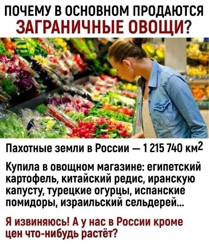 почему в основном ПРОДАЮТСЯ ЗАГРАНИЧНЫЕ ОВОЩИ і Пехотные земли в России 1 215 740 км Купила в овощном магазине египетский картофель китайский редис иранскую капусту турецкие огурцы испанские помидоры израильский сельдерей я извиняюсь А у нас в России кроме цен что нибудь растёт