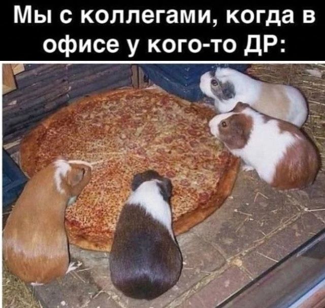 Мыс коллегами когда в офисе у кого то дР