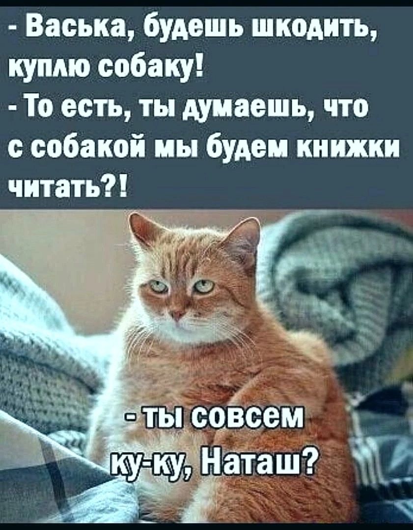 Васька будешь шкодить куплю собаку То есть ты думаешь что с собакой мы будем книжки читать