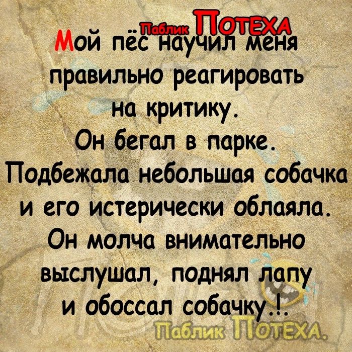 Мой пёц правильно реагировать на критику Он бегал в парке _Подбежалаінебольшая собачка и его истерически облаяла Он молча внимательно выслушал поднял лапу и обоссал собач