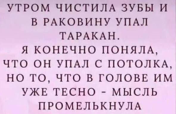 УТРОМ ЧИСТИЛА ЗУБЫ И В РАКОВИНУ УПАЛ ТАРАКАН Я КОНЕЧНО ПОНЯЛА ЧТО ОН УПАЛ С ПОТОЛКА НО ТО ЧТО В ГОЛОВЕ ИМ УЖЕ ТЕСНО МЫСЛЬ ПРОМЕЛЬКНУЛА