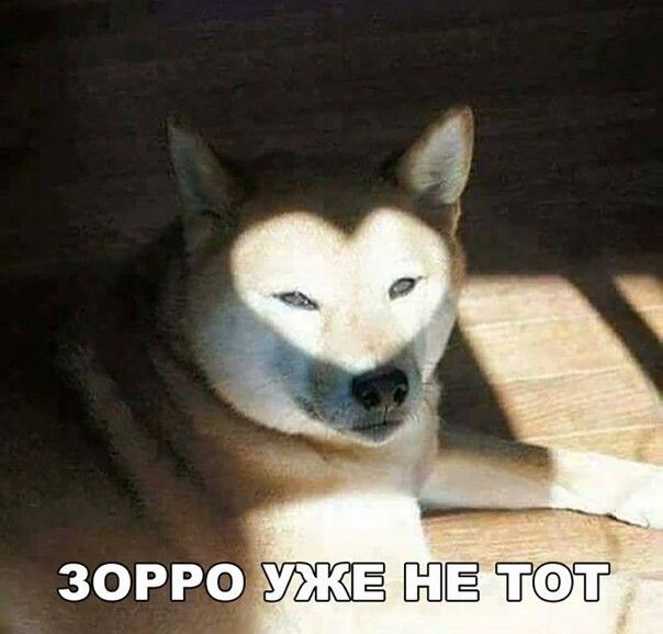 ЗОРРО ЁЁ Ё