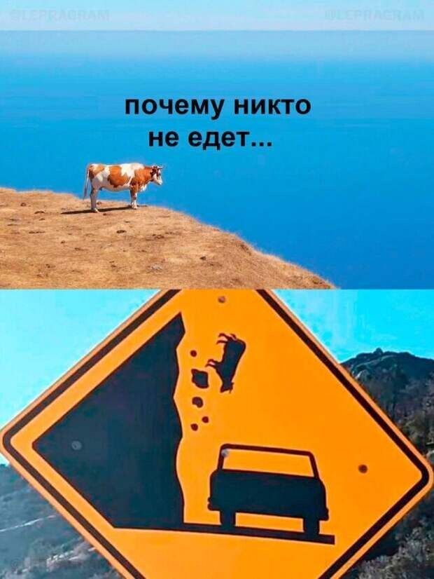 почему никто не едет