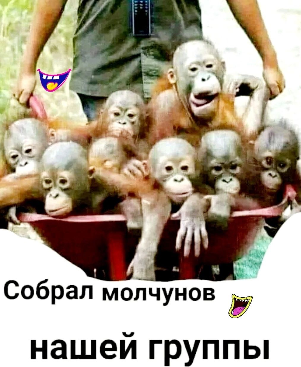 Собрал молчунов 137 нашей группы