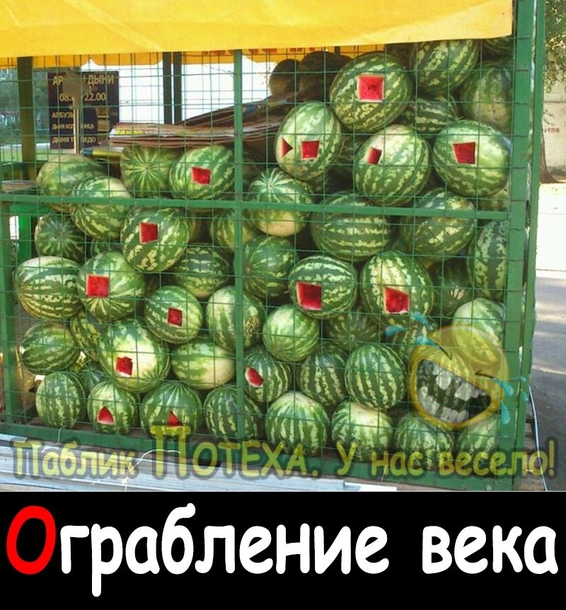 ч д _ _ 7 ъ грабление века