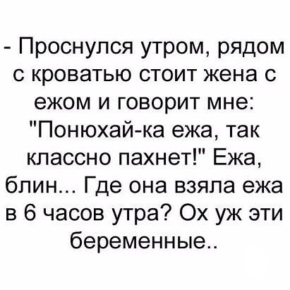 Проснулся утром рядом с кроватью стоит жена с ежом и говорит мне Понюхайка ежа так классно пахнет Ежа бпин Где она взяла ежа в 6 часов утра Ох уж эти беременные