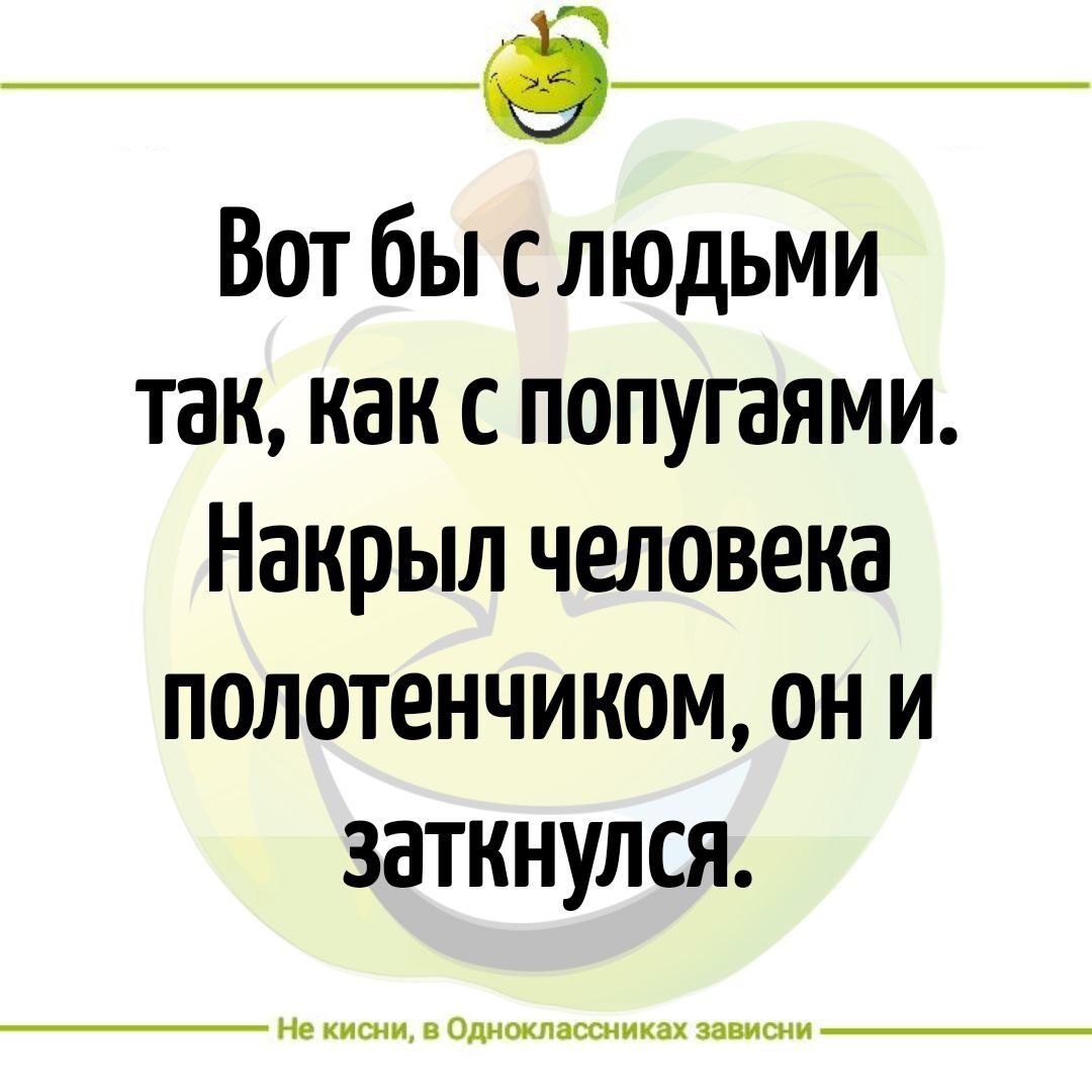 _6_ Вот бы с людьми так как с попугаями Накрыл человека полотенчиком он и заткнулся не мм ш