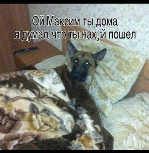 атеим ты дома дву __т ынахуй пошел