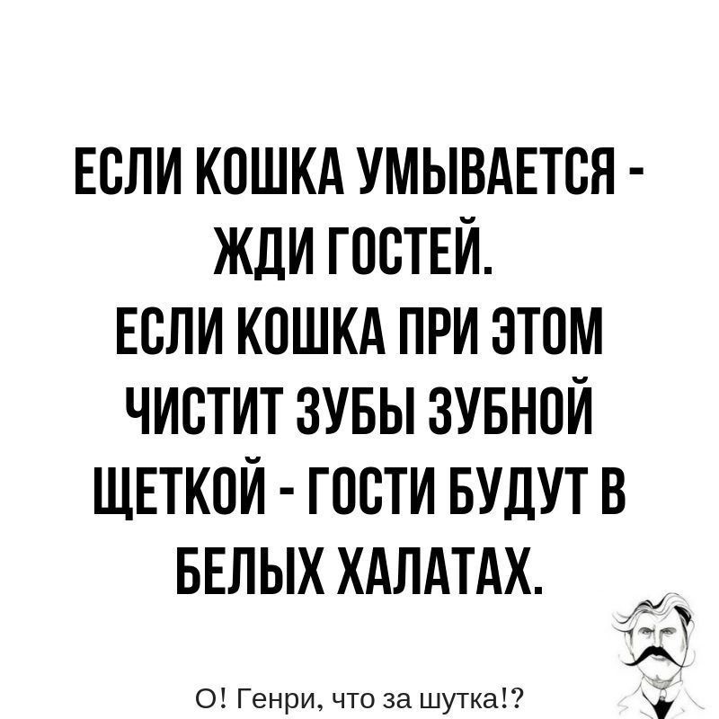 ЕСЛИ КОШКА УМЫВАЕТОЯ ЖДИ ГОСТЕЙ ЕСЛИ КОШКА ПРИ ЭТОМ ЧИОТИТ ЗУБЫ ЗУБНОЙ ЩЕТКОЙ ГОСТИ БУДУТ В БЕЛЫХ ХАЛАТАК