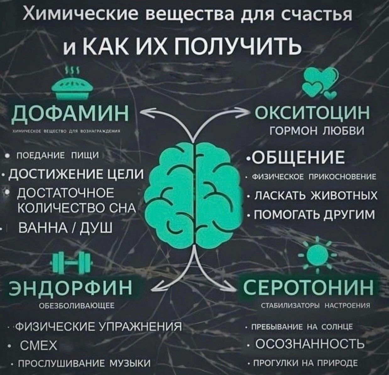 Химические вещества для счастья и КАК ИХ ПОЛУЧИТЬ и И дошмтг ЖРЦ аив пиши ОБЩЕНИЕ досгикгнив ЦЕПИ ппикшыпиі дОСТАТОЧНОЕ _пдскАть животных КОЛИЧЕСТВО СНА помогАть другим ВАННА душ эндорфин А серотонин выюшв пдіитппп ФИЗИЧЕСКИЕ УПРАЖНЕНИЯ ПРЕКЫВАИЕ ИА СОЛНЦЕ смех ОСОЗНАННОСТЬ пгоспушивАниЕ мпыки пэыулки А пвирапЕ