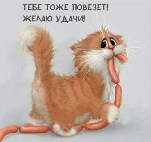 ТЕБЕ ТОЖЕ ПОВЕЗЕП ЖЕМЮ УААЧИ