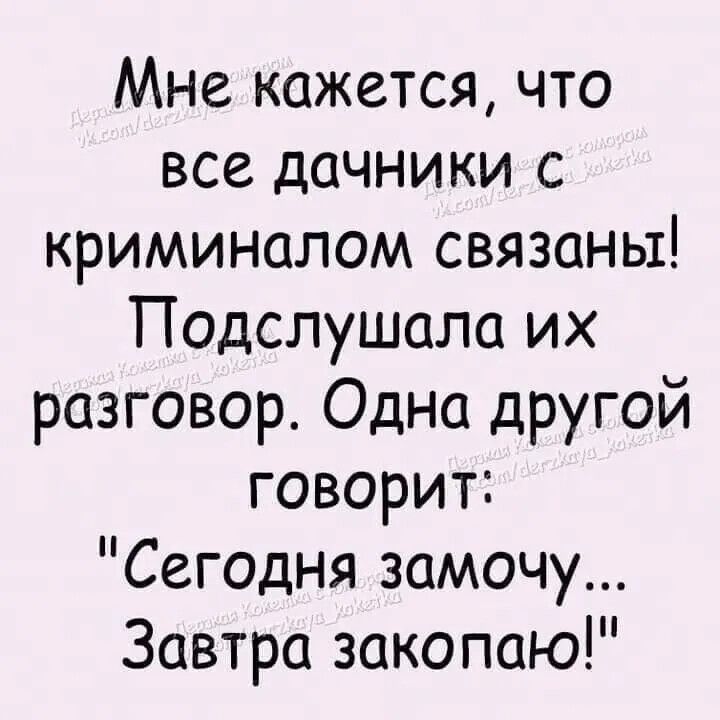 Мне кажется что все дачники с криминалом связаны Подслушала их разговор Одна другой говорит Сегодня замочу Завтра закопаю