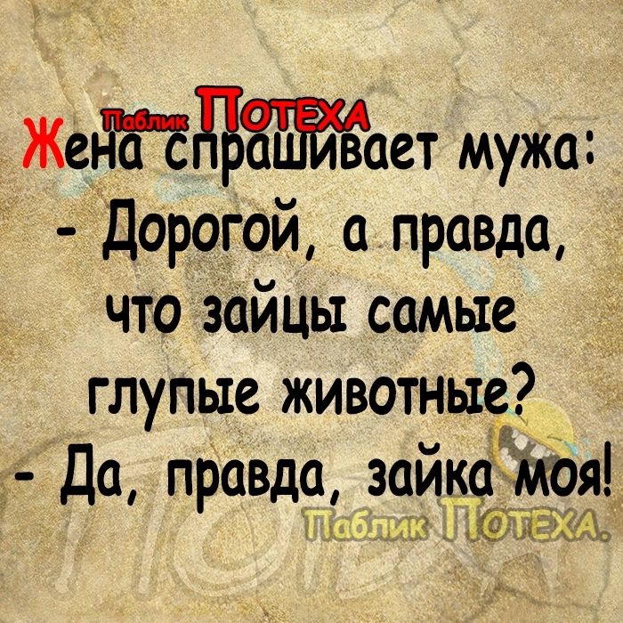 ЖептдЪЁБЁЁает мужа Дорогой правда что зайцы самые глупые животные Да правдо зойко моя На нг гзэда м