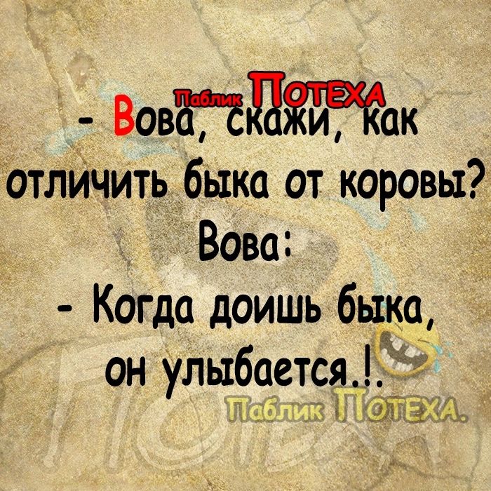 Вовтдак отлйчить быка от коровы Вова Когда доишь быка он улыбается