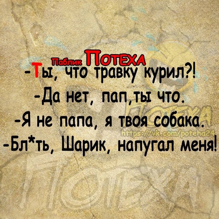 ТыъТтоЧкурил Да нет пап ть что Я не папа я твоя собак Бл ть Шарик напугал меня