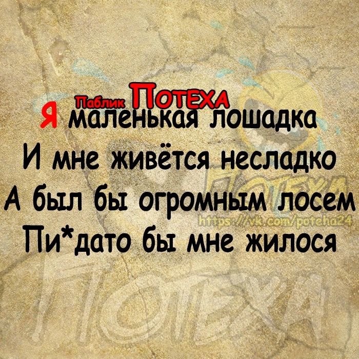 Я Дошадка И мне живётся несладко А был бы огромным лосе_м Пи дато бы мне жйлося