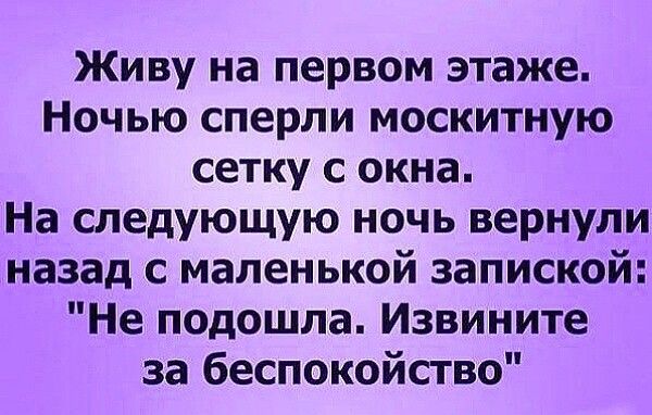 Живу на первом этаже Ночью сперли москитную сетку с окна На следующую ночь вернули назад с маленькой запиской Не подошла Извините за беспокойство