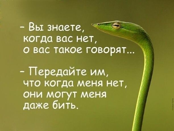 Вы знаете когда вас нет с вас такое говорят Передайте им что когда меня нет они могут меня даже бить