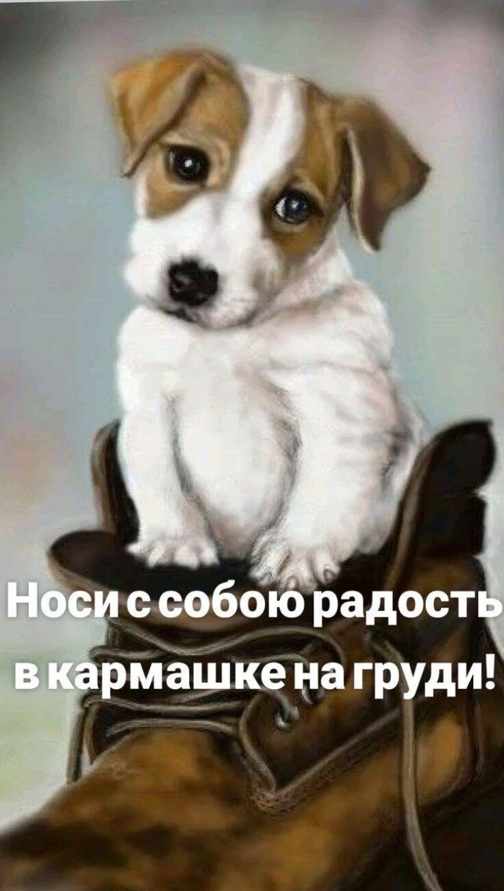 дріЁЦжеда груди _ И ТВ