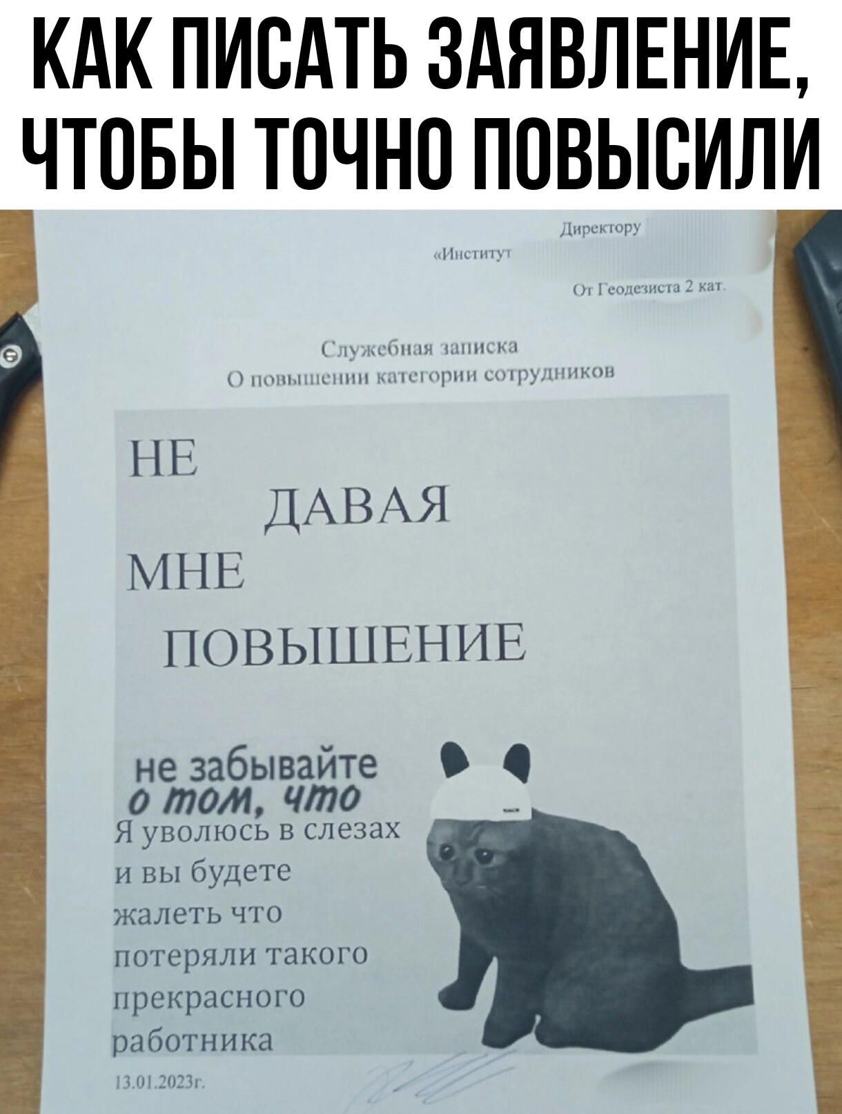 КАК ПИОАТЬ ЗАЯВЛЕНИЕ ЧТОБЫ ТОЧНО ПОВЫОИЛИ НЕ ДАВАЯ МНЕ ПОВЫШЕНИЕ не забывайте 0171001 что но унолюсь в следах и вибмстс жи явть потеряли гакпга прекрасного рдбш ника