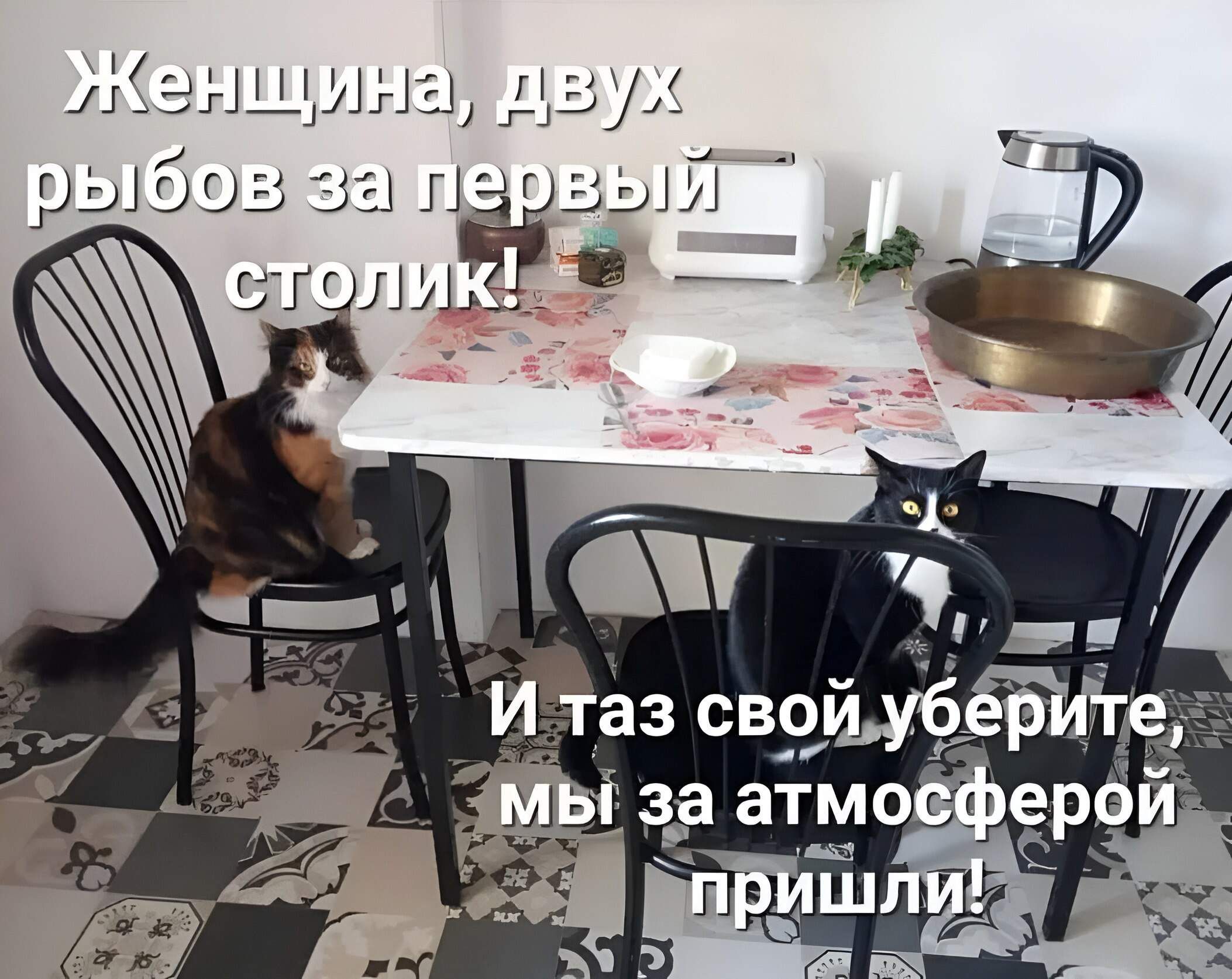 КАНа дВух рЫТбОв ае 1 СТОЛИКая _ й