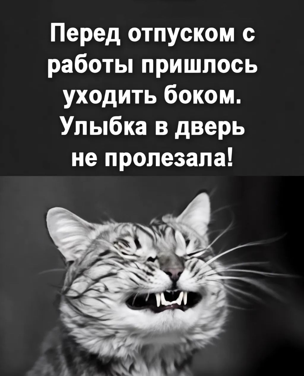 Перед отпуском с работы пришлось уходить боком Улыбка в дверь не пропезапа