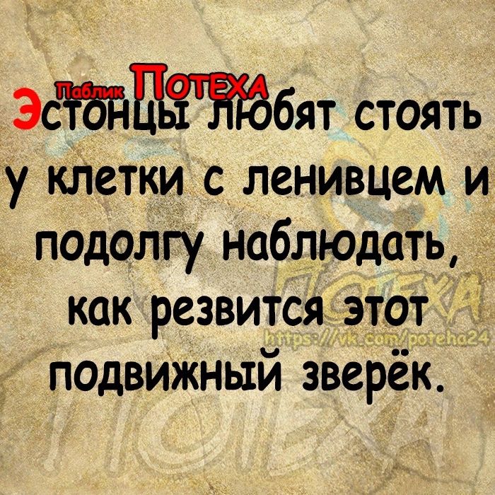 Эсбят стоять у КЛеТКИ с ленивцем и подолгу наблюдать как резвится 3191523 подвижный зверёк