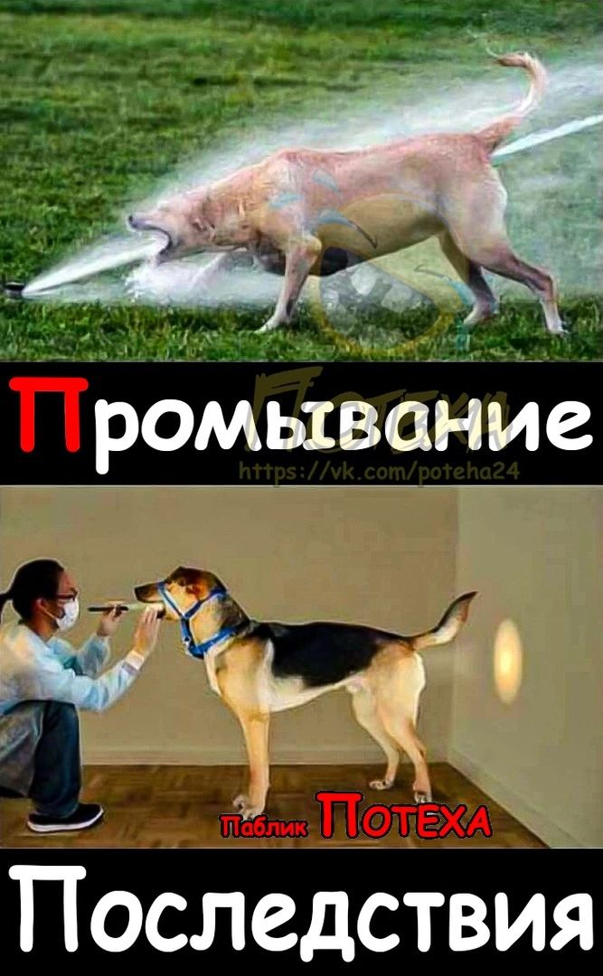 ПоследСтвиЁ