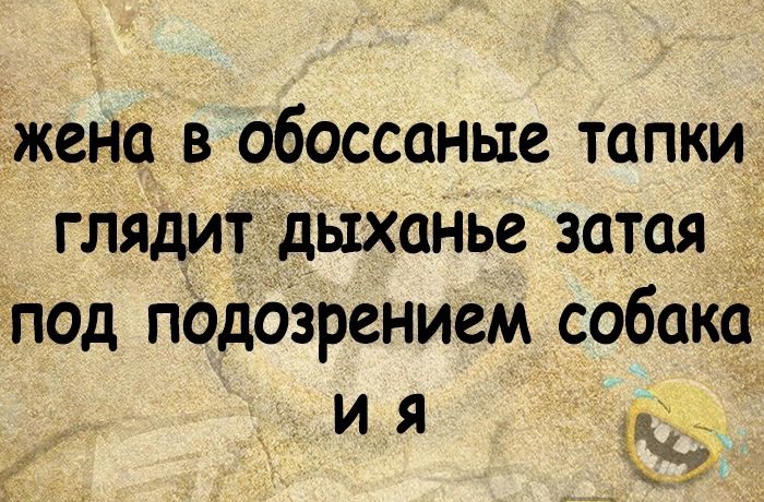 п Пат жена в обоссаные тапки глядитддыханье затая под подозрением собака ні свысіюьгіёя