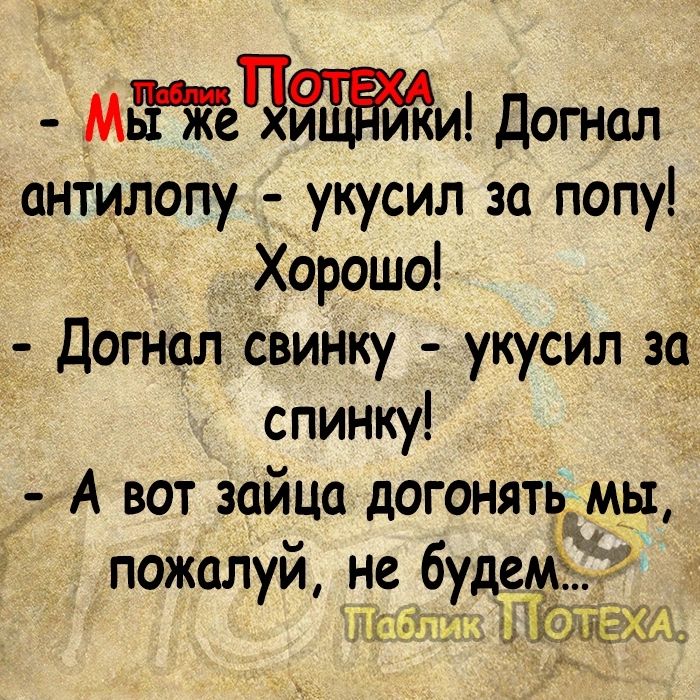 Ме Догнал антилопу укусил за попу Хорошо Догналсвинку укусил за спинку _ А вот зайца догонять мы пожалуй не будеЁ ОЩ ЧЕ гг 51 31