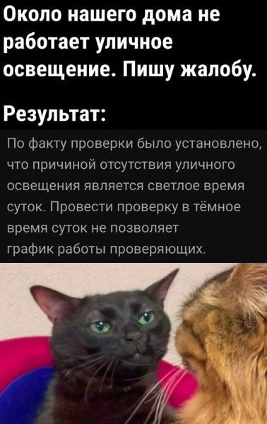 Около нашего дома не работает уличное освещение Пишу жалобу Результат По факту проверки было установлено что причиной отсутствия уличного ОСВЕЩЕНИЯ ЯВЛЯЕТСЯ СВЕТПОЕ ВРЕМЯ суток Провести проверку в тёмное время СУТОК не ПОЗВОЛЯЕТ график работы проверяющих