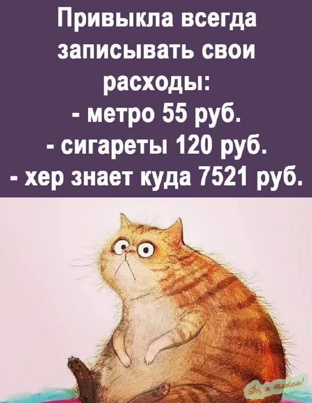 Привыкла всегда записывать СВОИ расходы метро 55 руб сигареты 120 руб хер знает куда 7521 руб