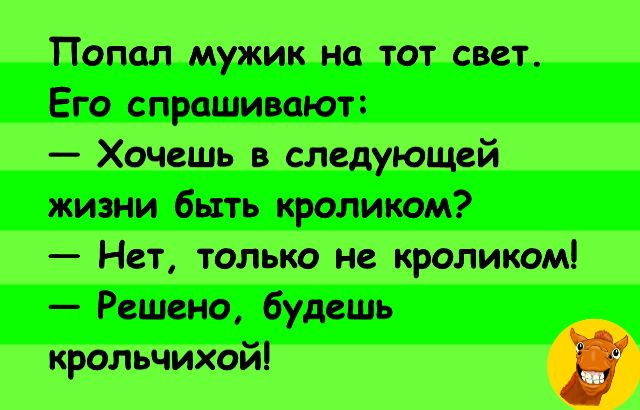 Попал мужик на тот свет Его спрашивают Хочешь в следующей жизни быть кроликом Нет только не кроликом Решено будешь крольчихойі Э