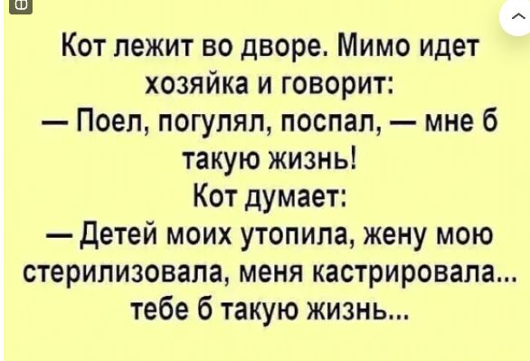 Кот лежит во дворе Мимо идет хозяйка и говорит Поеп погупяп поспал мне 6 такую жизнь Кот думает Детей моих утопила жену мою стерилизовала меня кастрировапа тебе 6 такую жизнь