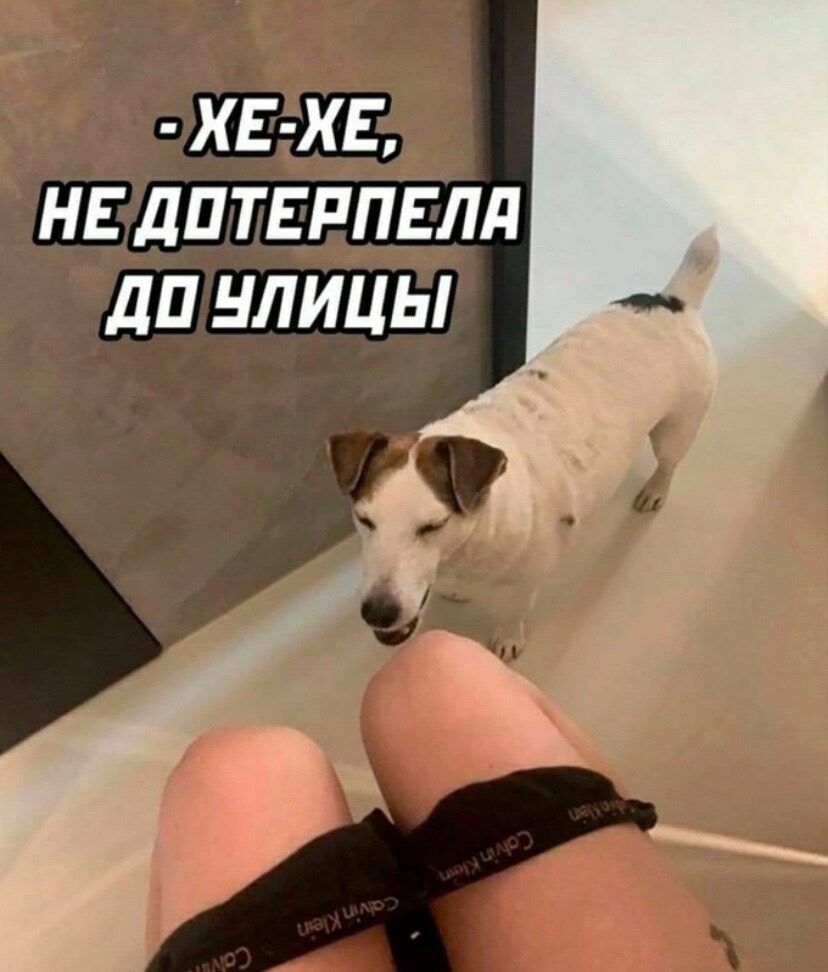 ХЕ ХЕ НЕ дПТЕРПЕЛд дП НЛИЦЫ