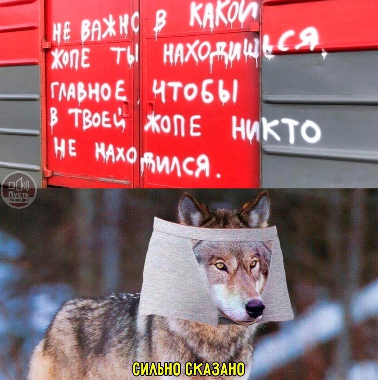 мтв і тьме что _