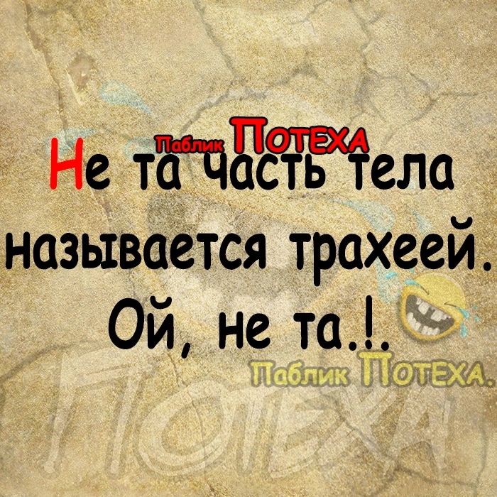 Не тЕЧБсЧЁЧела называется трахеей