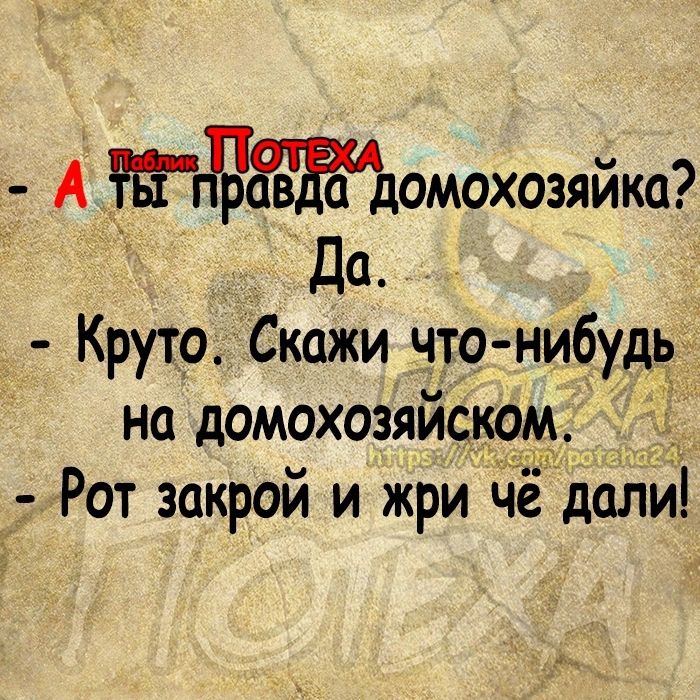 А Ёгважюмохозяйка Да Круто Скажи что нибудь на домохозяйском Рот закрой и жри Че дали