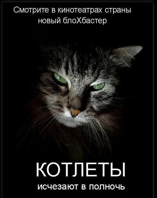 Смотрите в кинотеатрах страны новый блоХбастер КОТЛЕТЫ исчезают в полночь