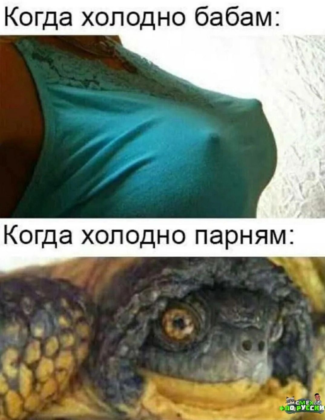 Когда холодно бабам Когда холодно парням