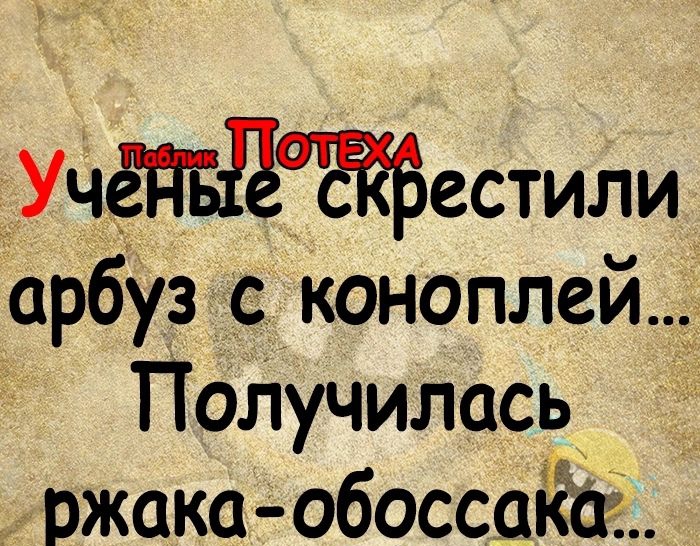 УчёНЫ СКрестили арбуз с коноплей Получилась ржака обоссака